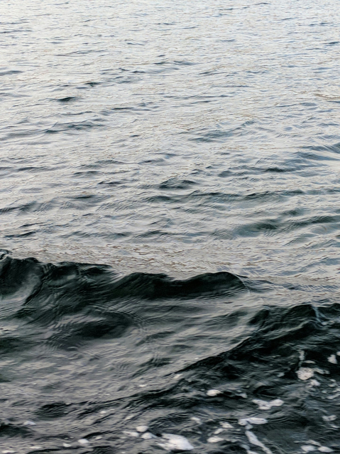 BLACK SEA SOY WAX MELTS