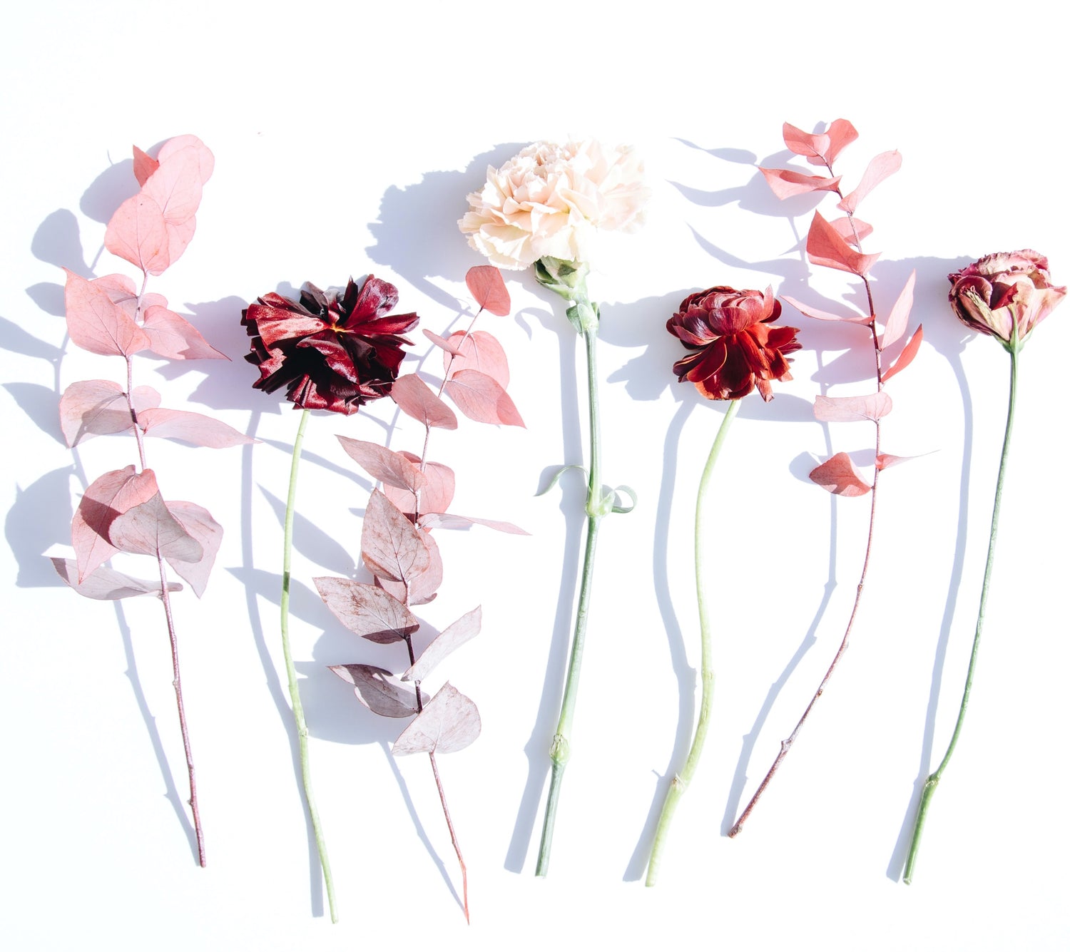 FLORAL
